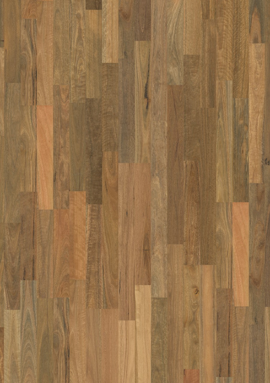 Brushed Spotted Gum 2S M