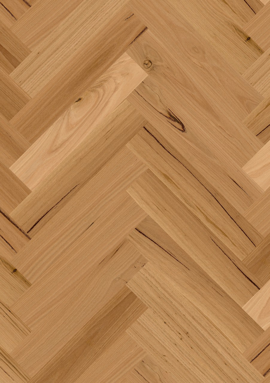Blackbutt