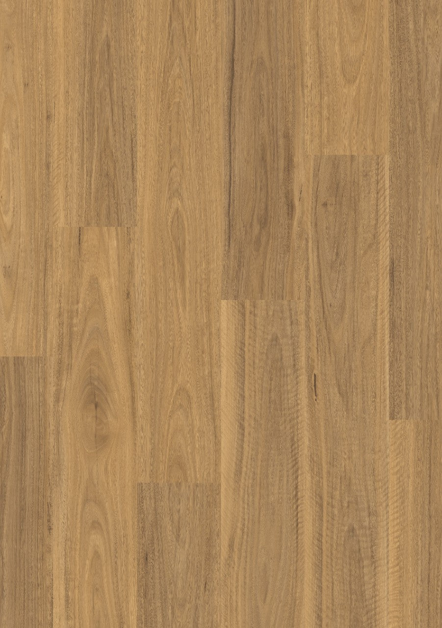 Classic Spotted Gum Light
