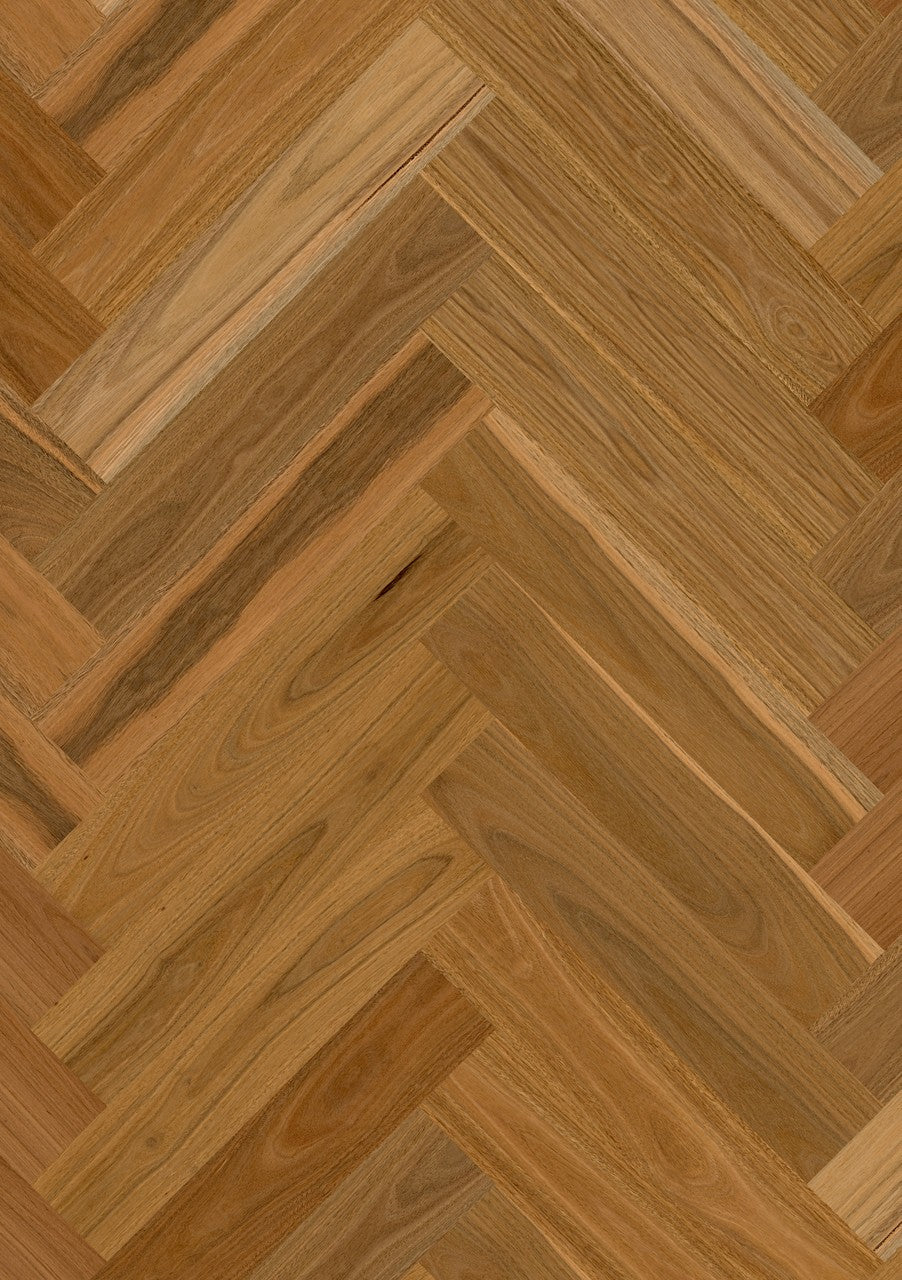Spotted Gum