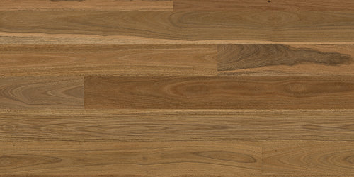 Spotted Gum
