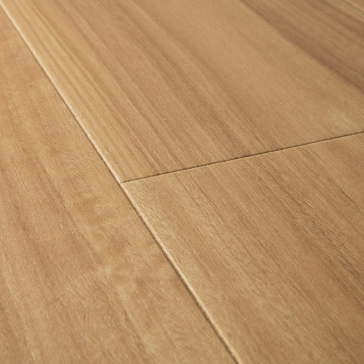 Blackbutt