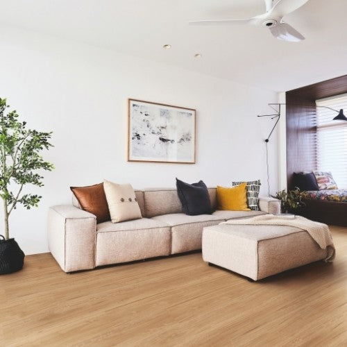 Titan Vinyl Glue Bleached Blackbutt