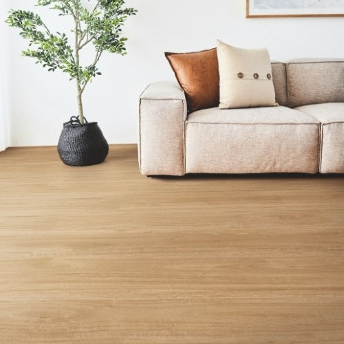 Titan Vinyl Glue Bleached Blackbutt