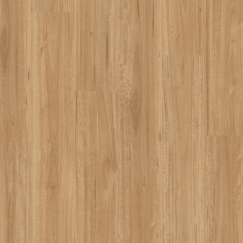 Titan Vinyl Glue Bleached Blackbutt