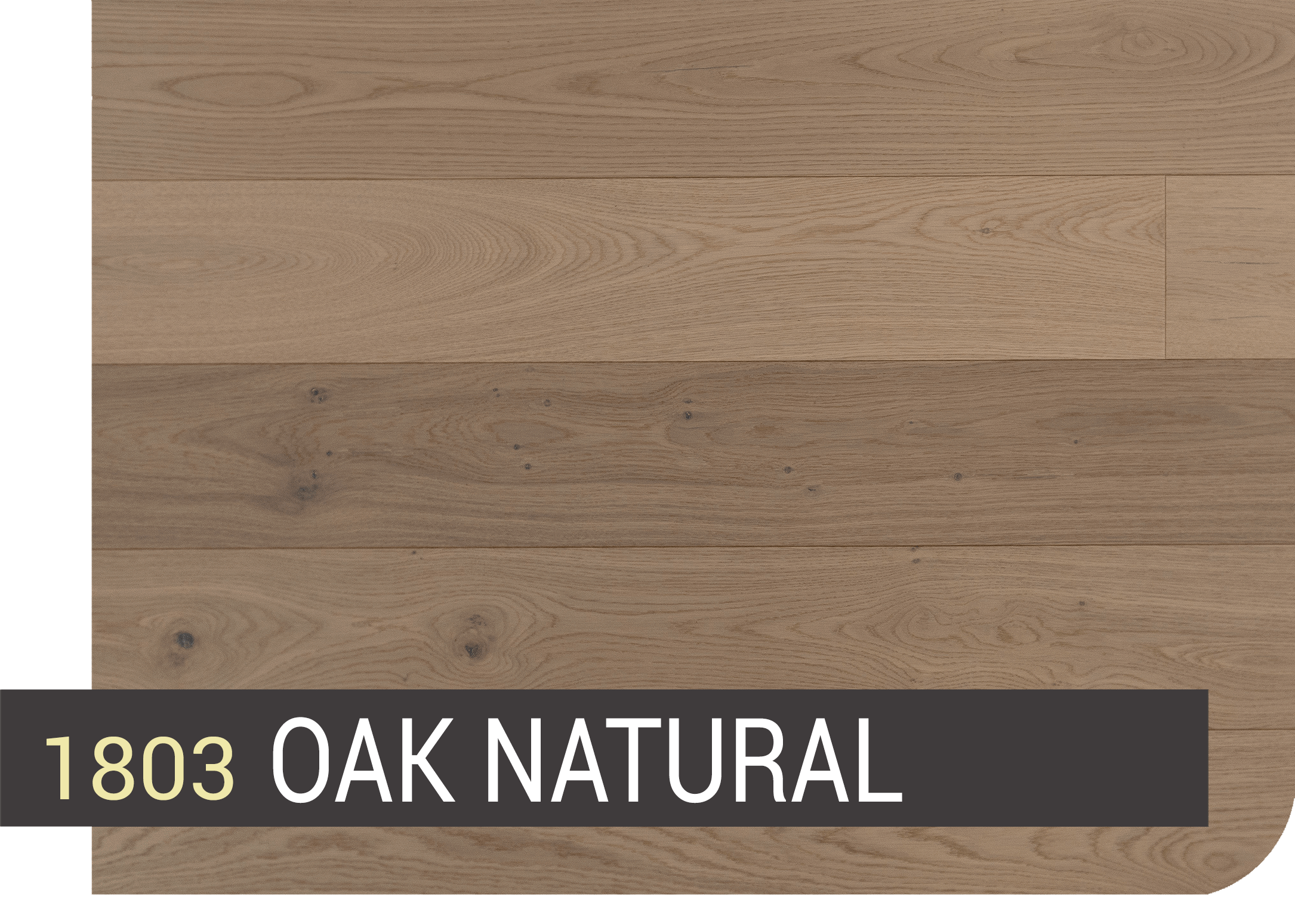 Introduction to Storm Deluxe Waterproof Timber Planks