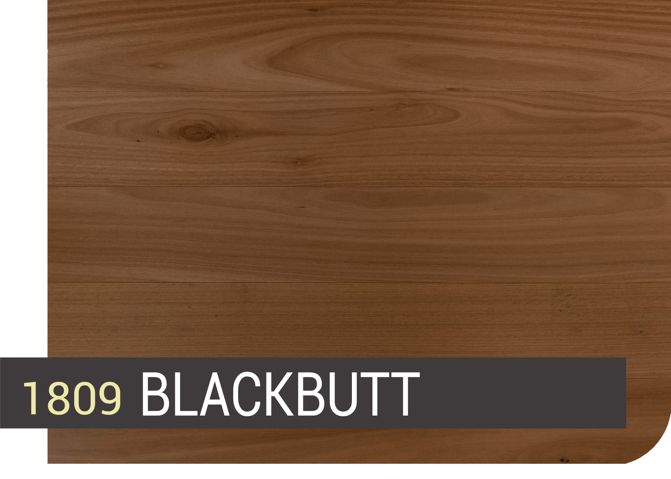 Introduction to Storm Deluxe Waterproof Timber Planks