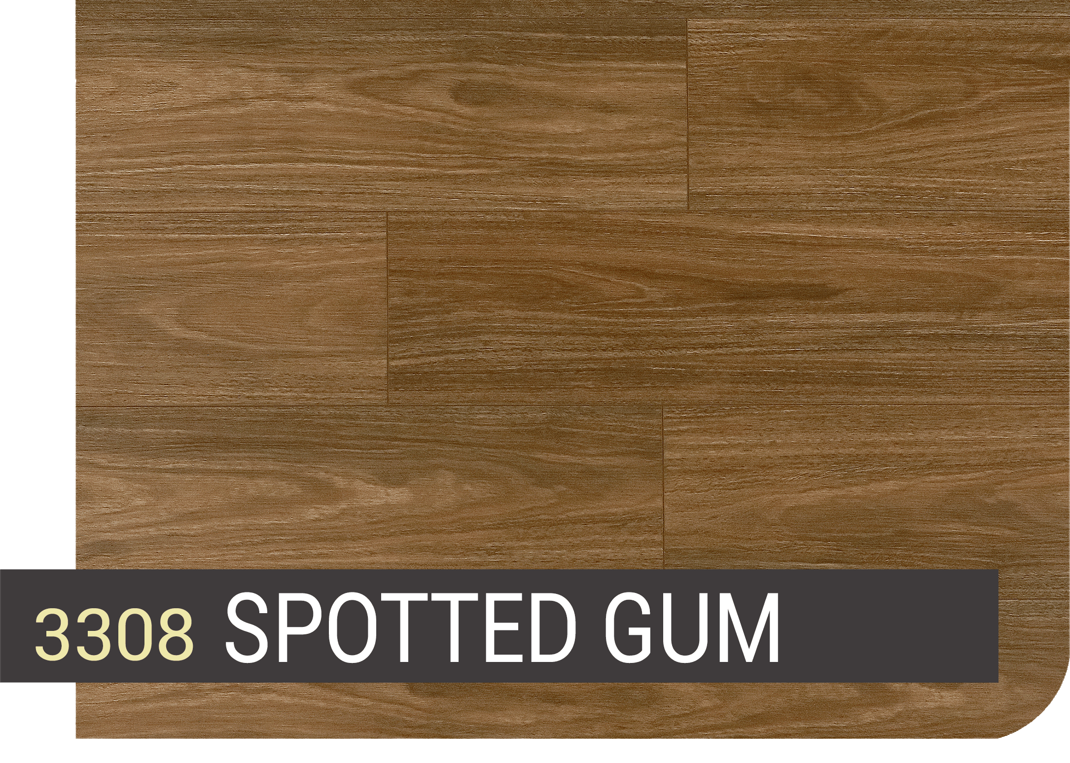 SPOTTED GUM