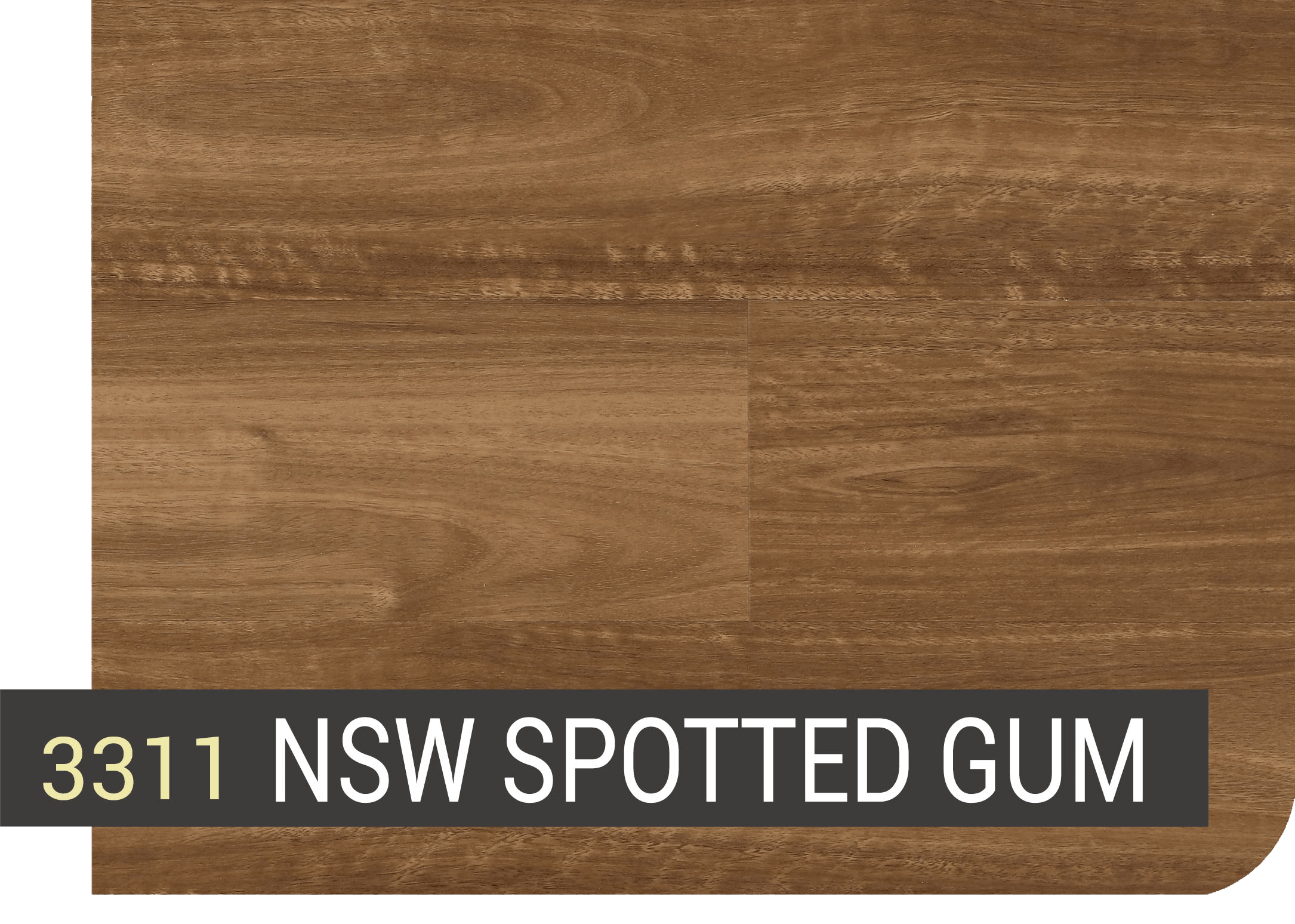 NSW SPOTTED GUM
