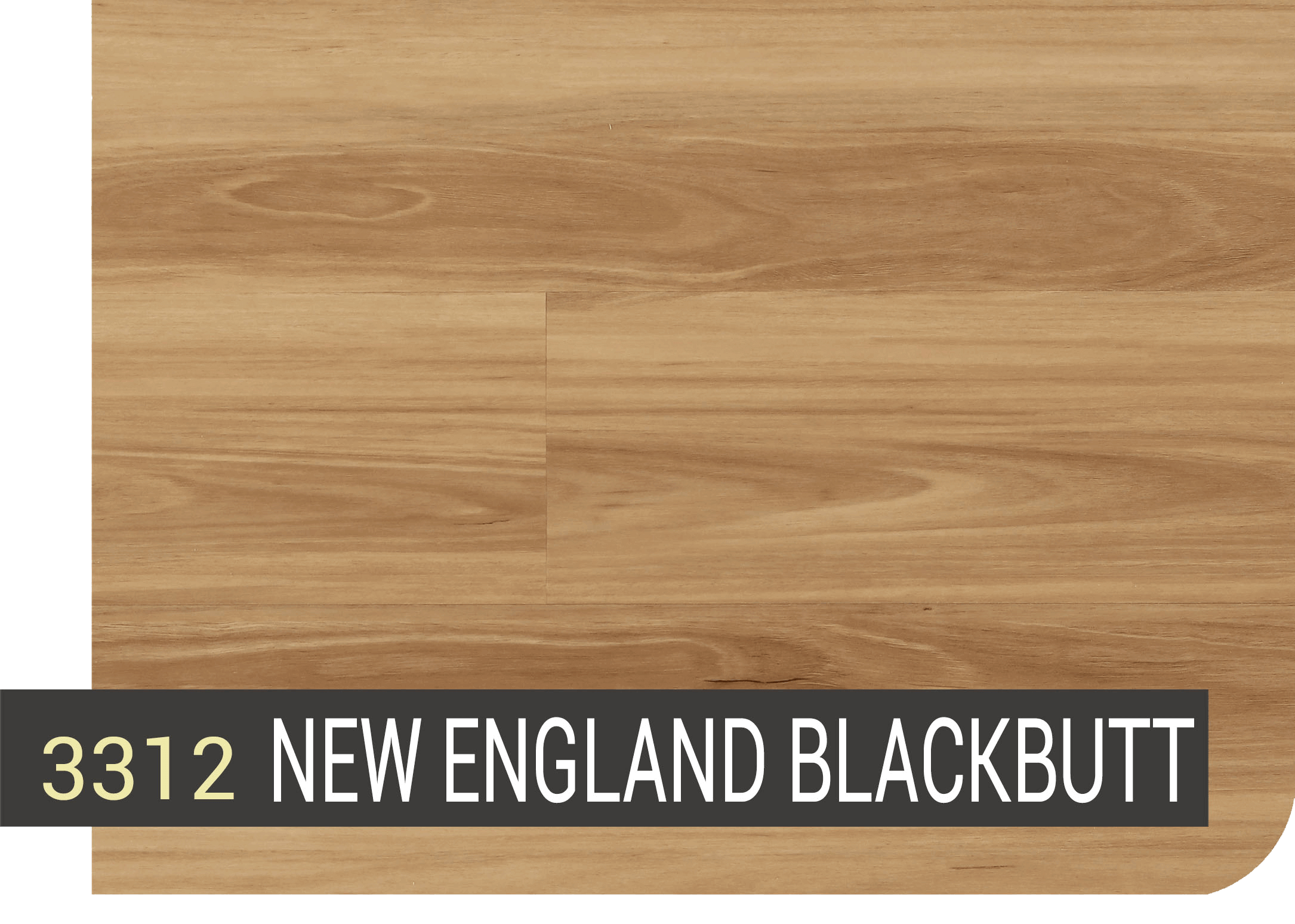 NEW ENGLAND BLACKBUTT