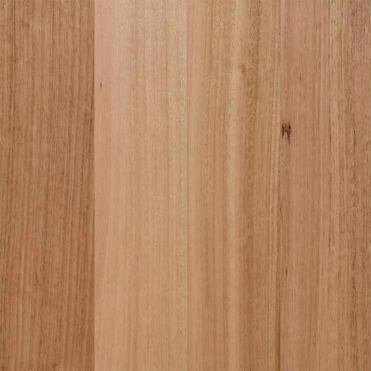 Tasmanian Oak (136mm)