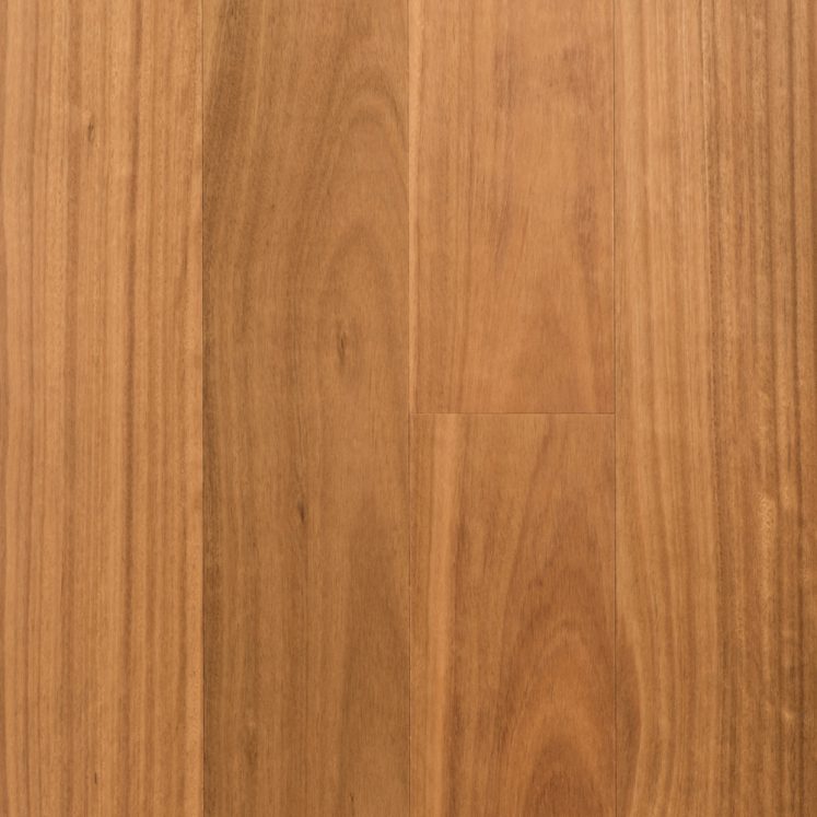 Blackbutt (1860mm x 14mm)
