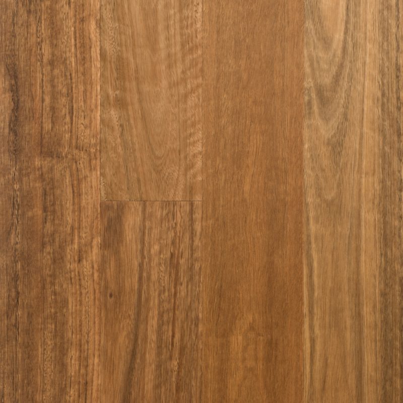 Spotted Gum (1860mm x 14mm)