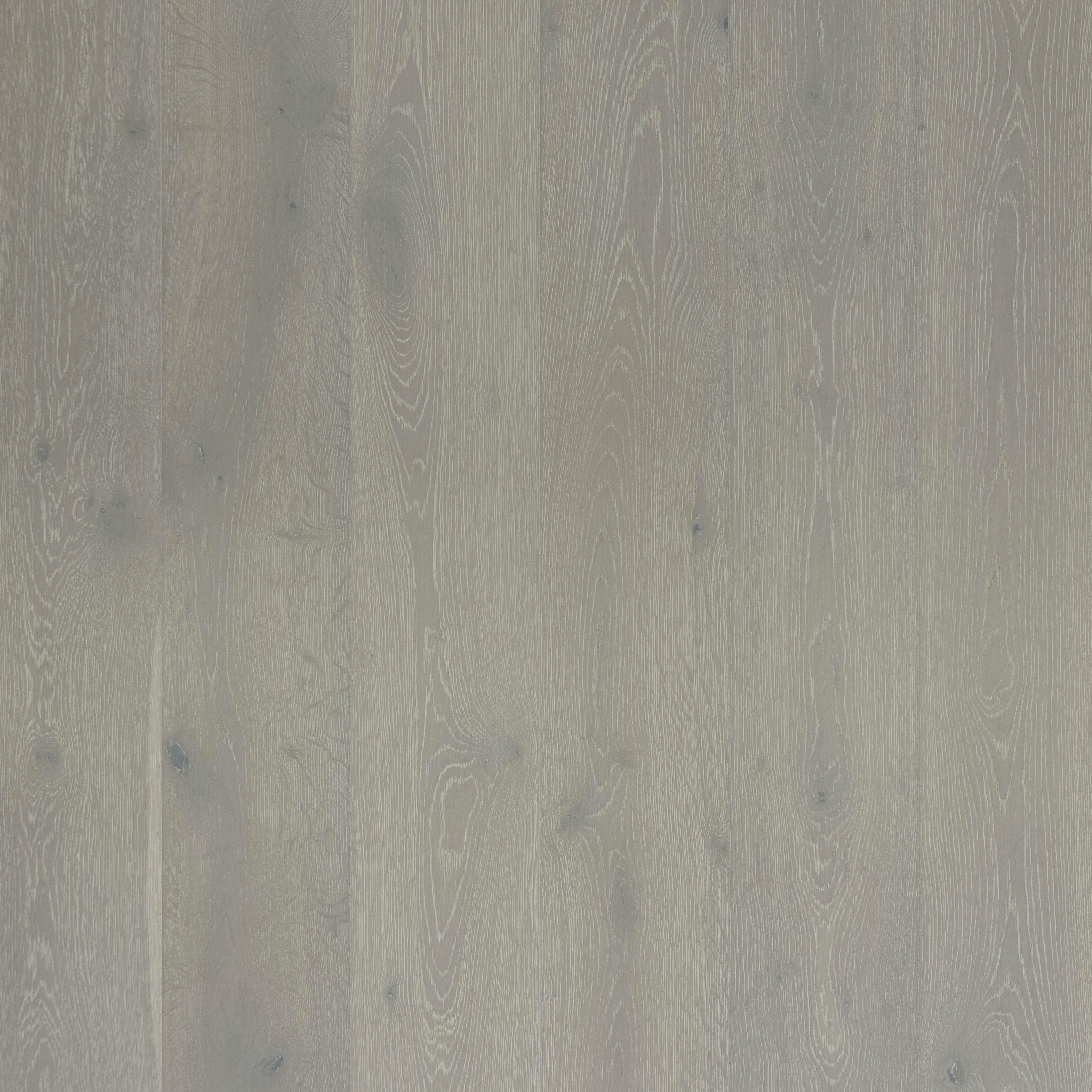 Topdeck Veroni Oak Snow Ash