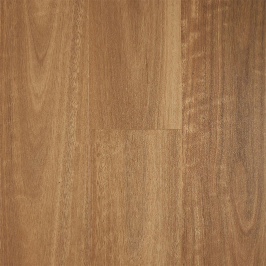 Natural Spotted Gum