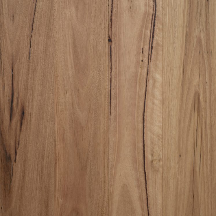 Authentic Blackbutt (136mm)