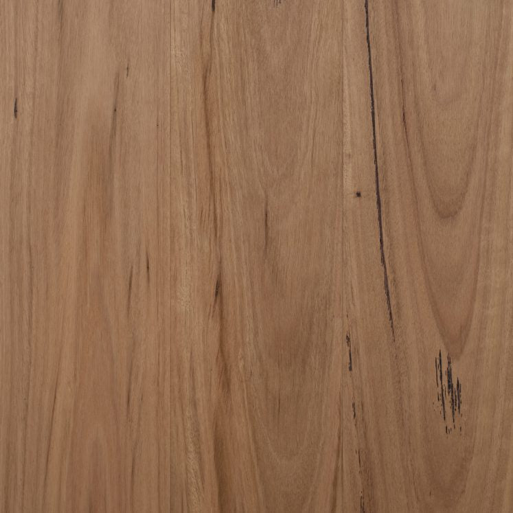 Authentic Blackbutt (180mm)