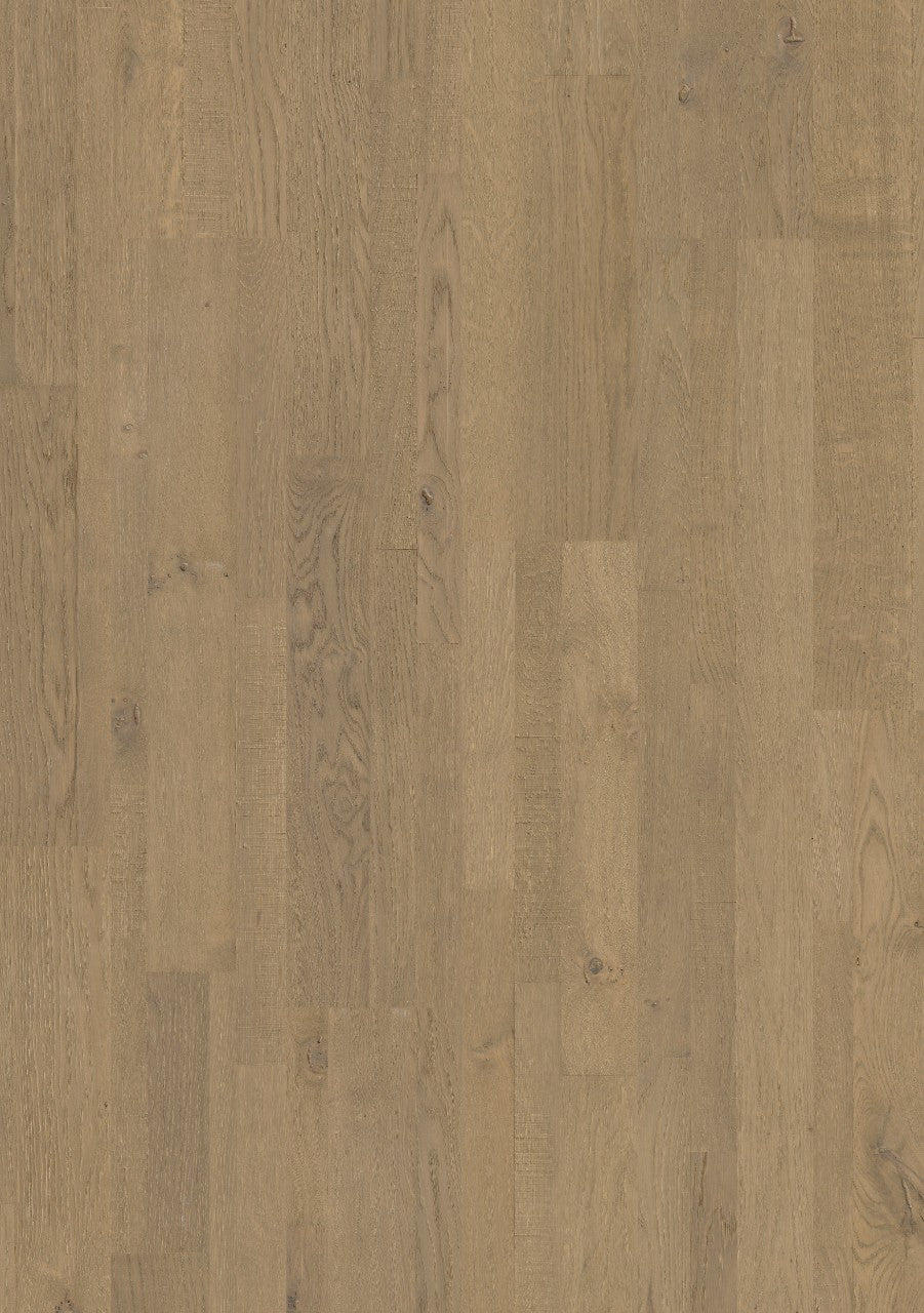 Royal grey oak extra matt