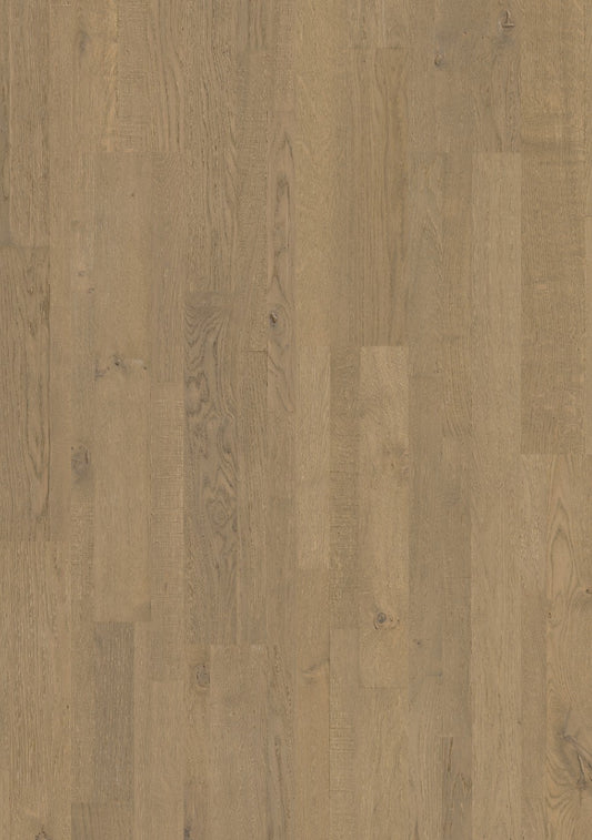 Royal grey oak extra matt