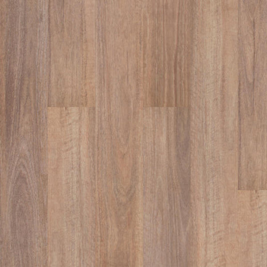 Natural Spotted Gum