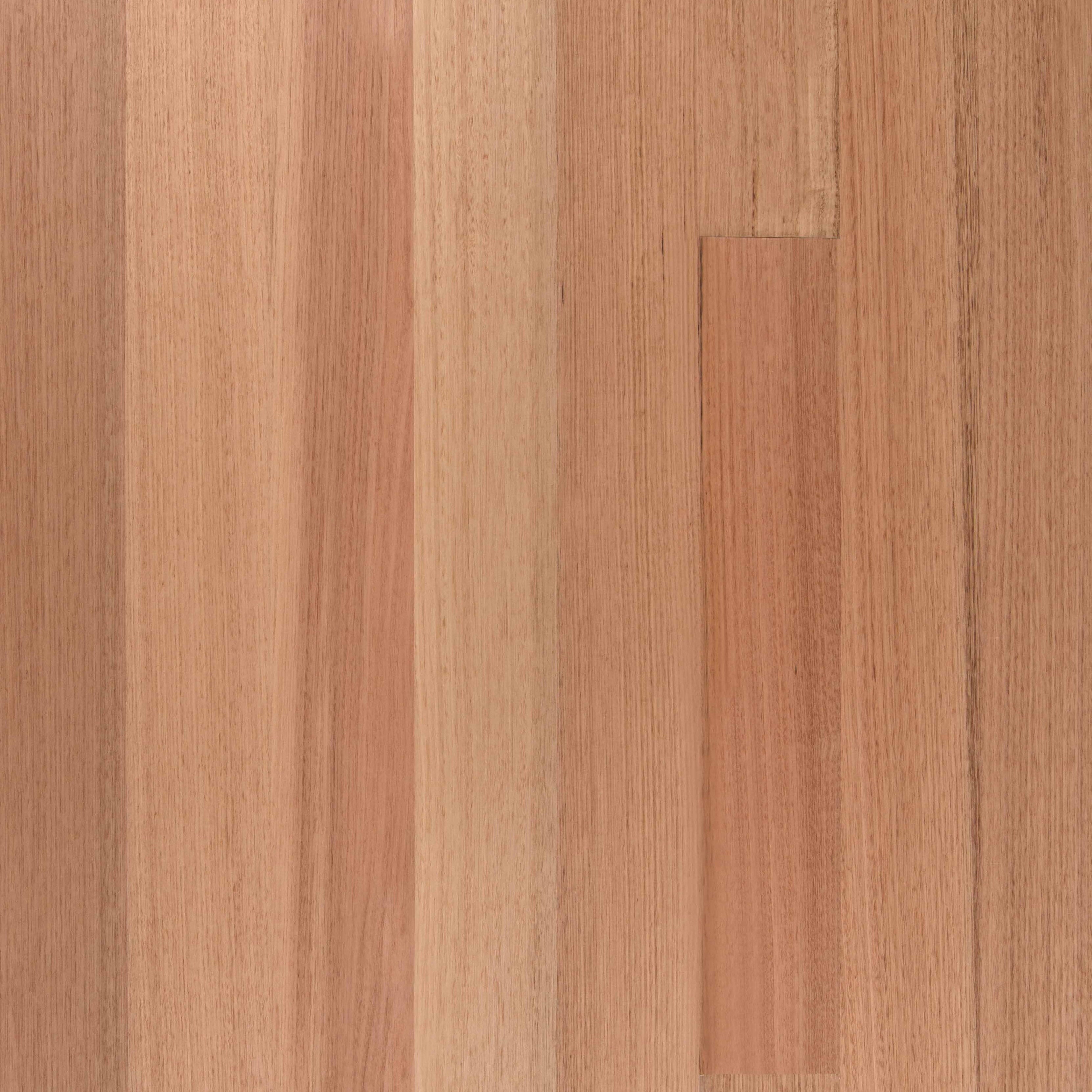Tasmania Oak