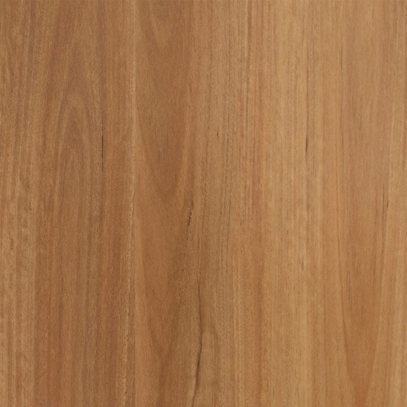 New England Blackbutt