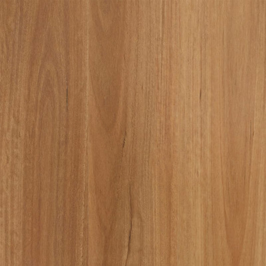 New England Blackbutt