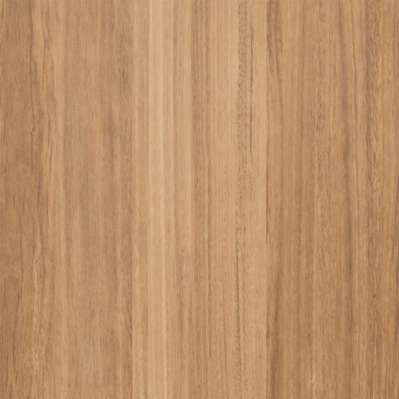 Honey Spotted Gum