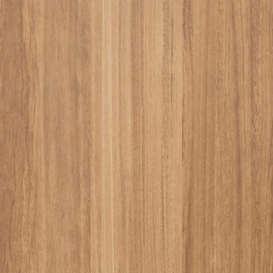 Honey Spotted Gum