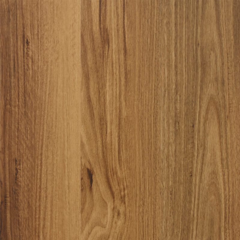 Feathertop Spotted Gum