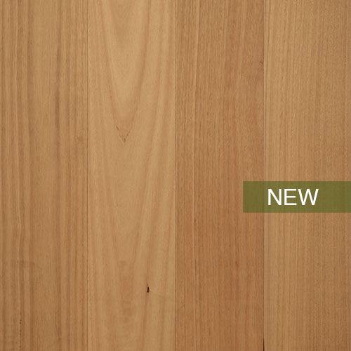 Blackbutt (1860mm x 12mm)