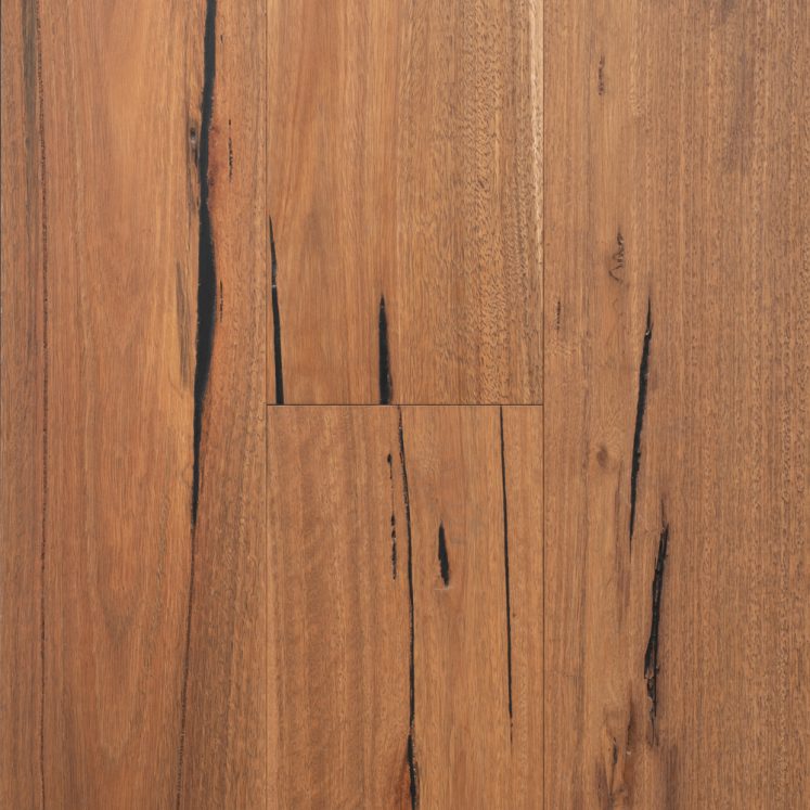 Spotted Gum 189mm