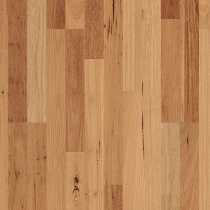 Readyflor Blackbutt 2 strip