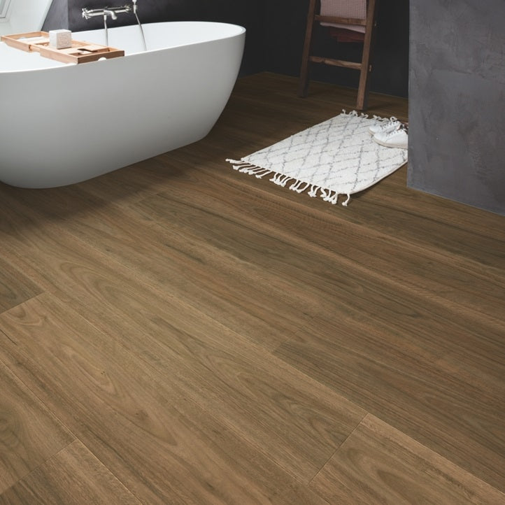 Majestic Spotted Gum