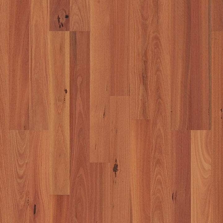 Readyflor Sydney Blue Gum 2 strip