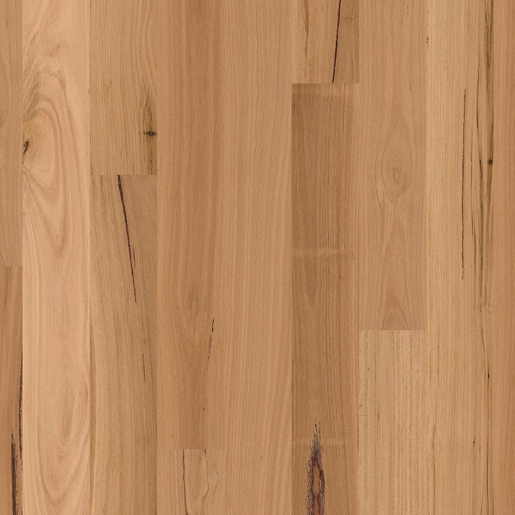 Readyflor Blackbutt 1 Strip
