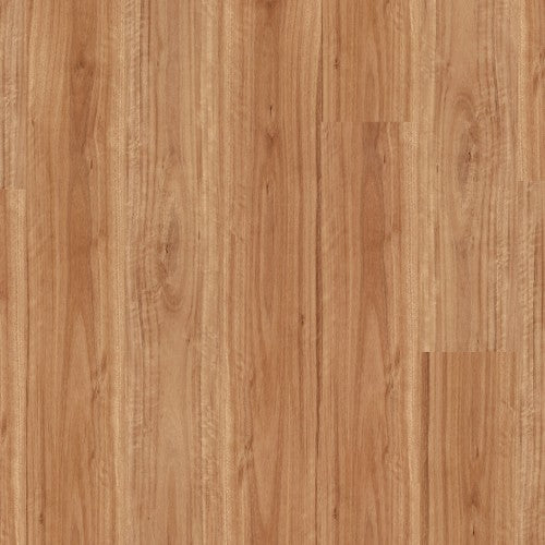 Titan Vinyl Glue Blackbutt